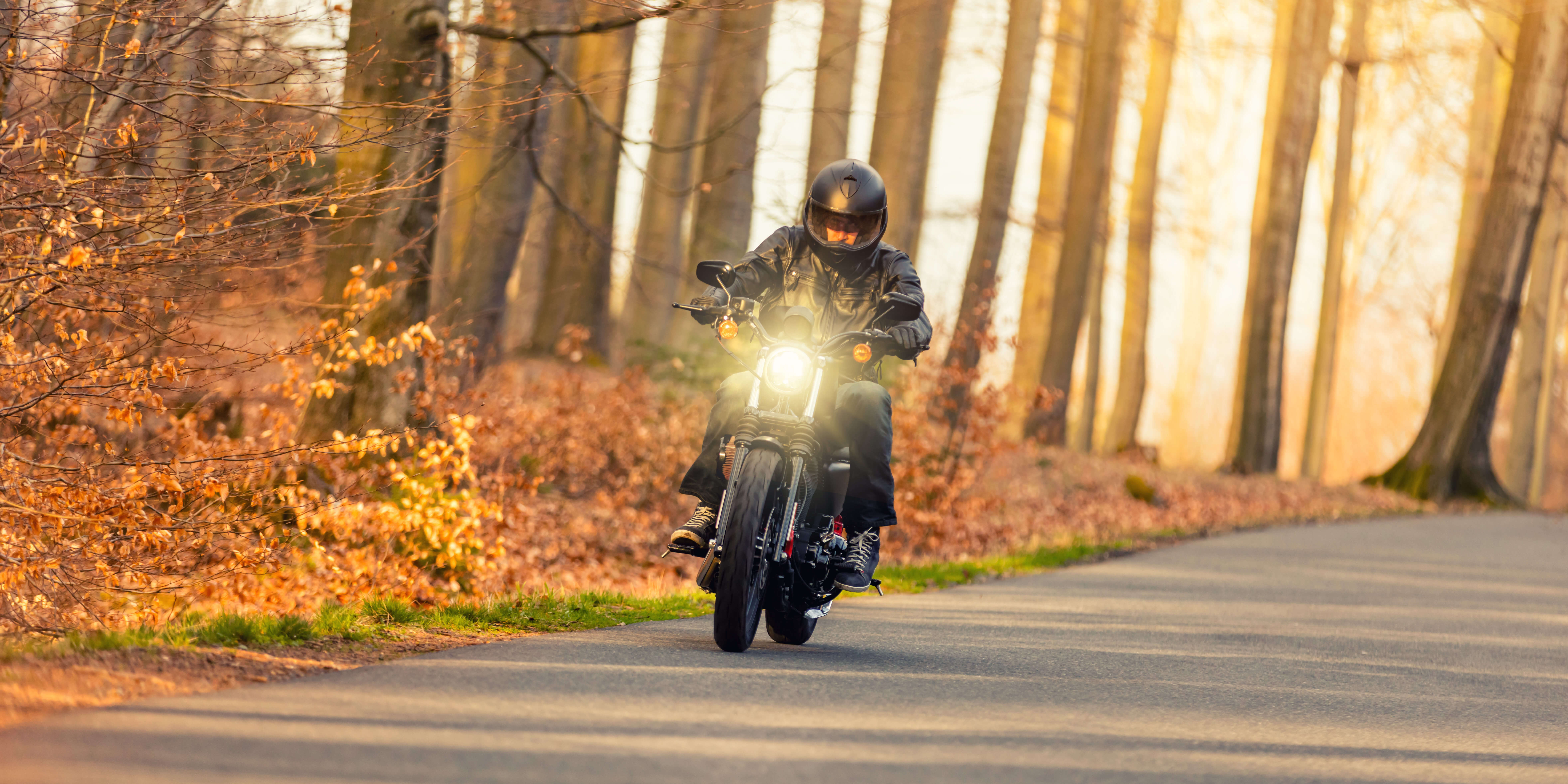 Motorcycle Rider in Fall Leaves